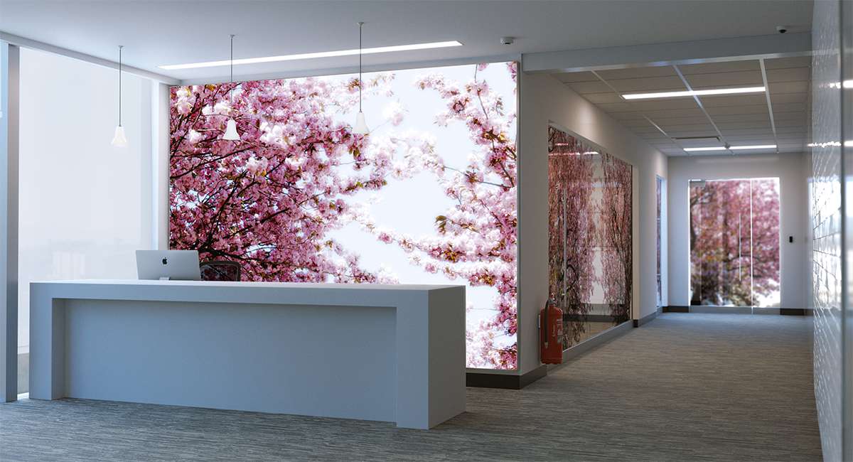 Sakura pattern manifestation by Prismatone